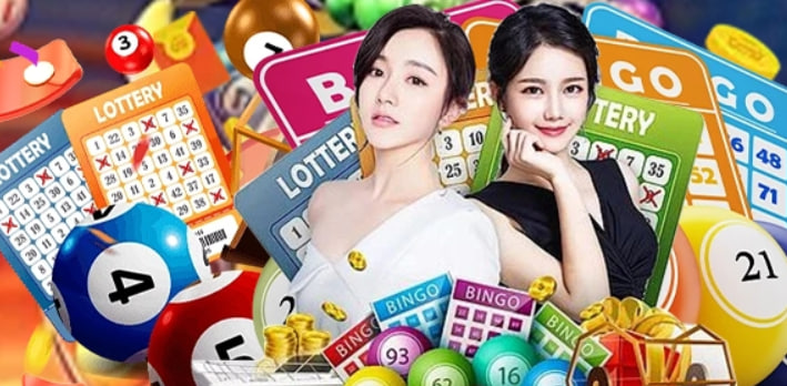 wibo88