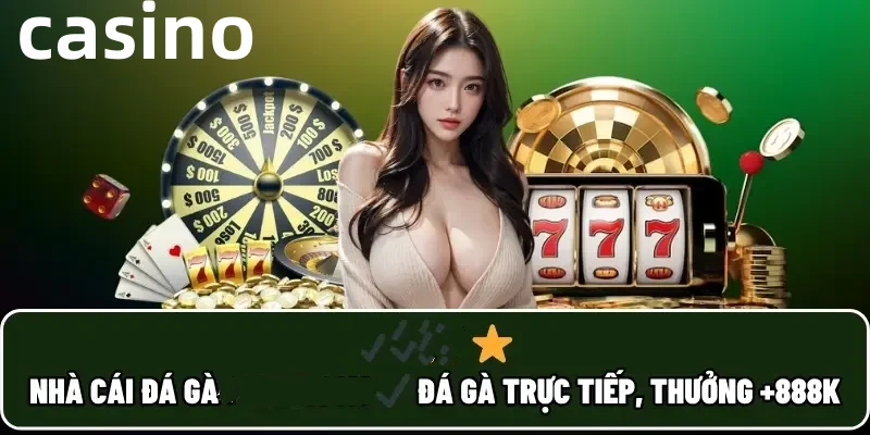 wibo88